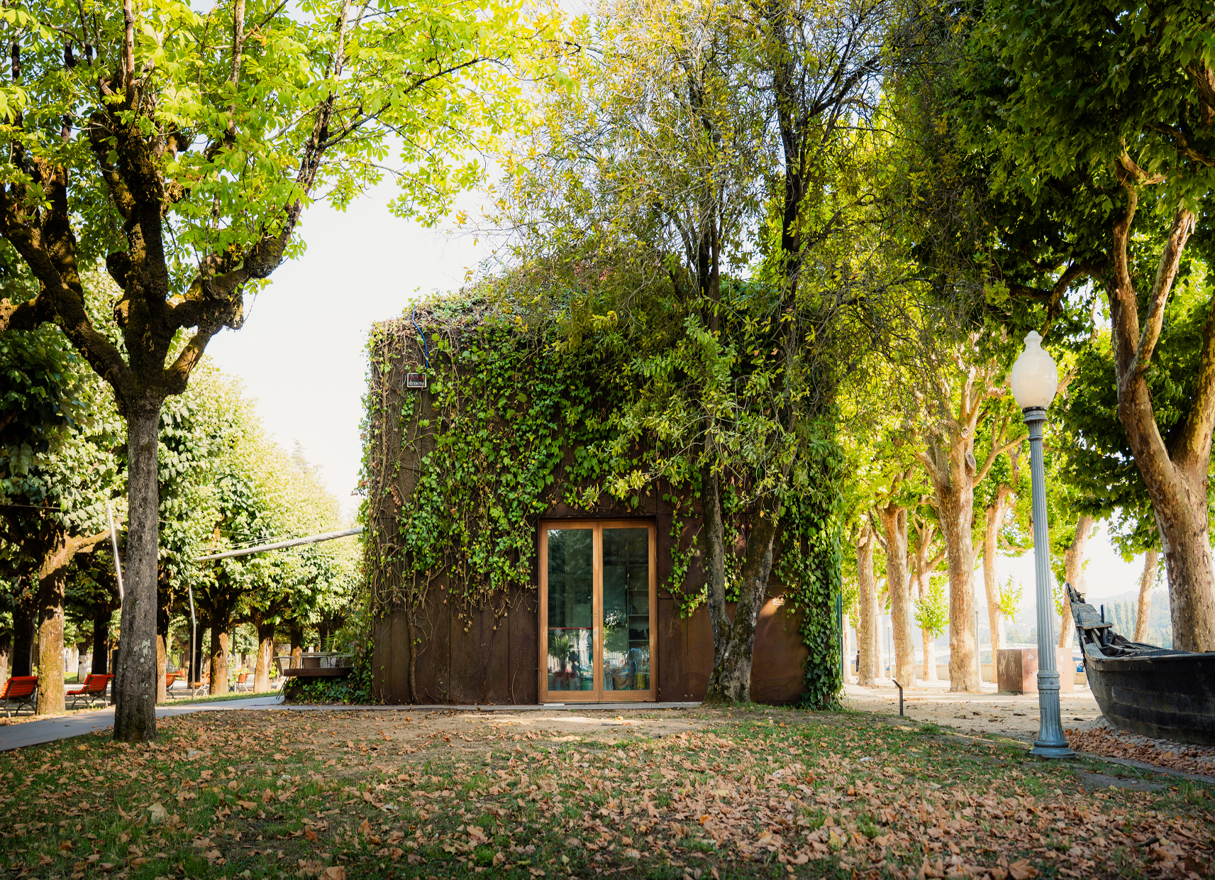 ../Catalogo/_client/noticias/2026_09_biblioteca_carlosfiolhais.jpg